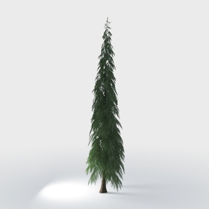 pine tree-Landscape Greenery