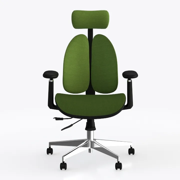 Ergonomic Office Chair with Lumbar Support, 360°