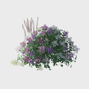 Open-air Cafe-plants 26.max