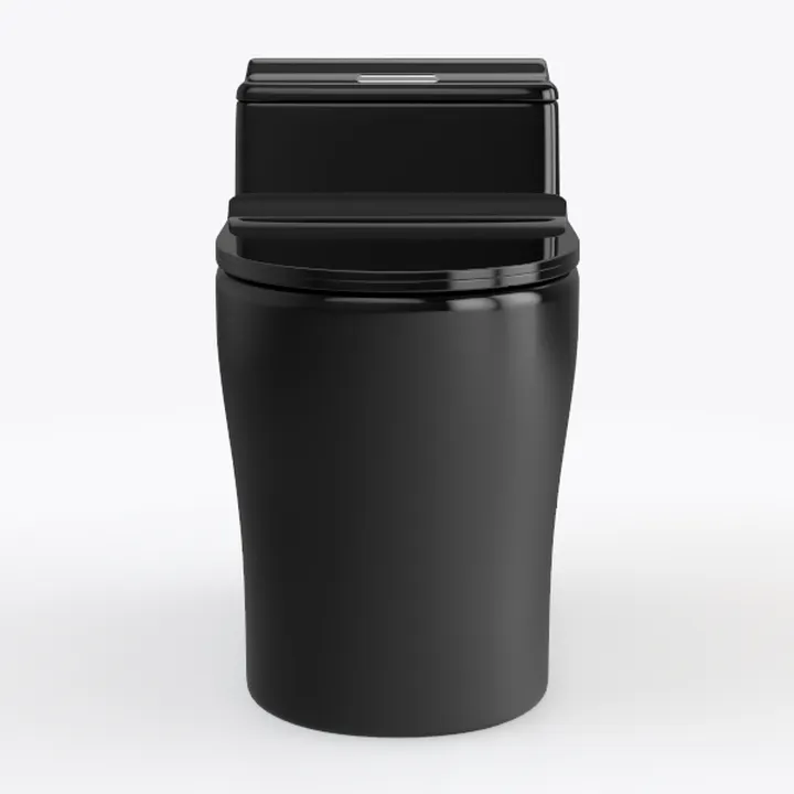 Compact One Piece Toilet Matte Black, Space-Saving