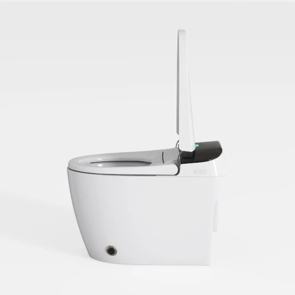 Smart Bidet Toilet with water Filter | 1000g MaP