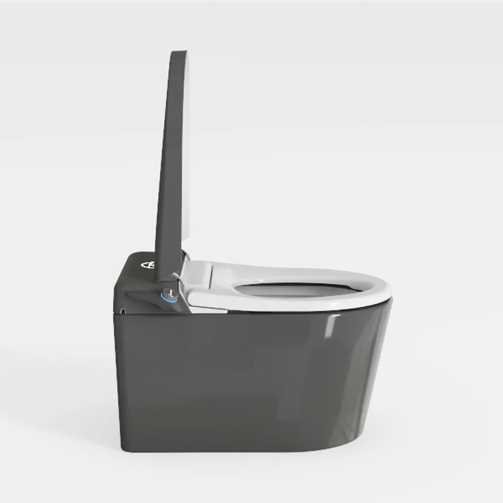 DeerValley In Wall Toilet Bowl, Elongated Wall