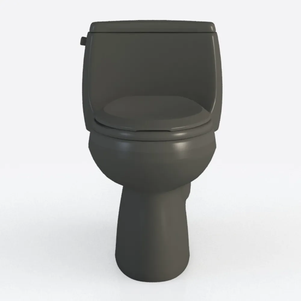 Eridanus Elongated One Piece Toilet with Powerful