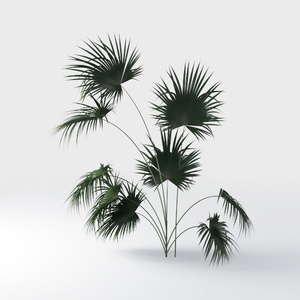 Open-air Cafe-plants 32.max