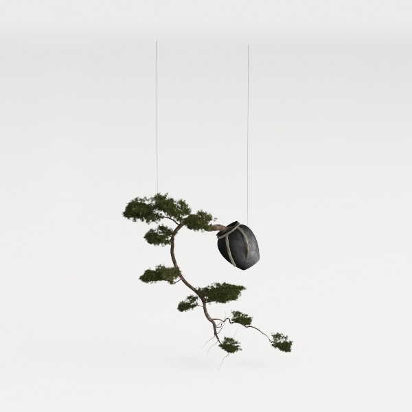 garden landscape-Serene Japanese