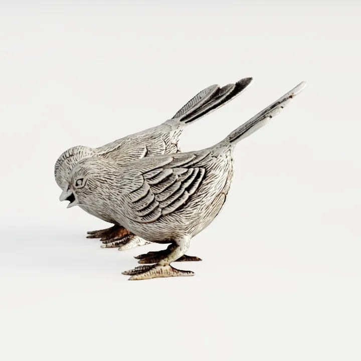 Animal-bird-two birds