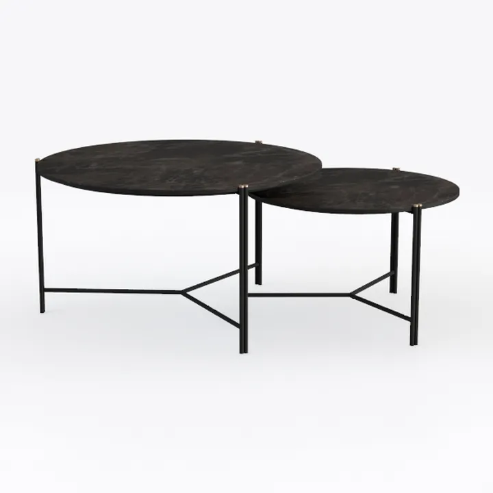 Modern Nesting Coffee Table Set of 2 for Office Ap