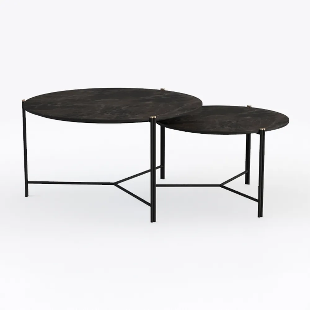 Modern Nesting Coffee Table Set of 2 for Office Ap