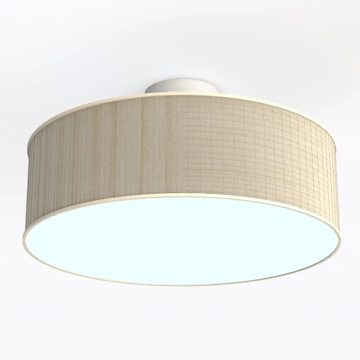 Progress Lighting P3713-09 Inspire Two-Light Flush