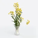 null Left 45 Degree View