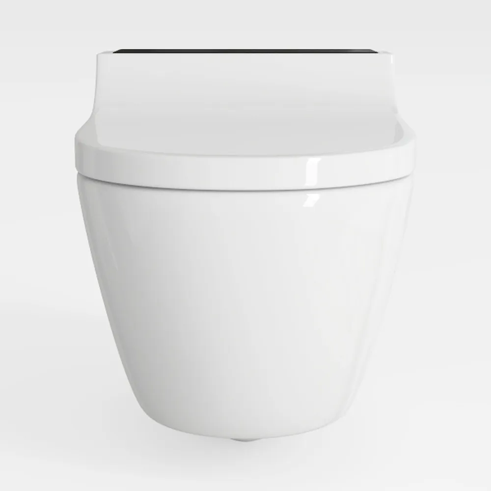 Smart Bidet Toilet with water Filter | 1000g MaP