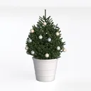 null Left 45 Degree View