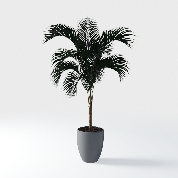 Terracotta Rustic Vase, Farmhouse Decorative Vase