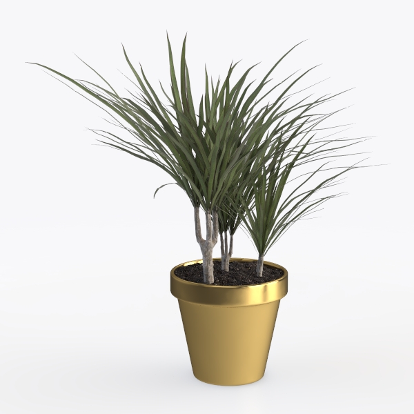 Vixdonos Large Gold Planters Metal Aloe Brass-Tone