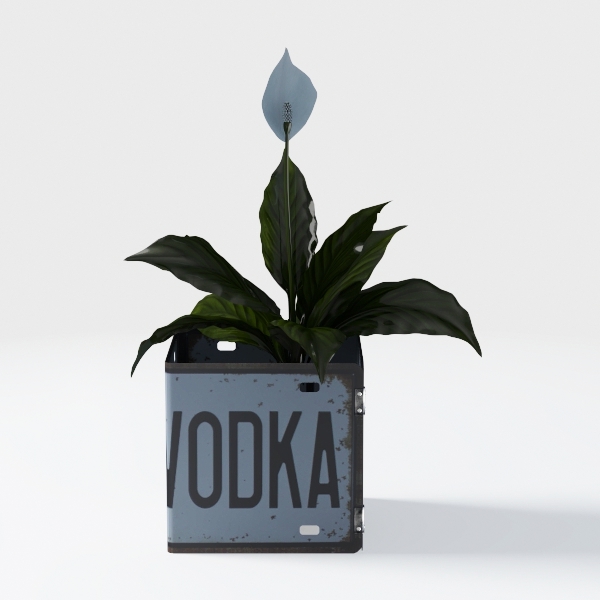 flower-Industrial Loft