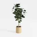 Minimalist Woven Pot Potted Faux Green Plant 3D Model Front View