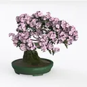 Briful Artificial Bougainvillea Bonsai Tree 18.5 Left 45 Degree View
