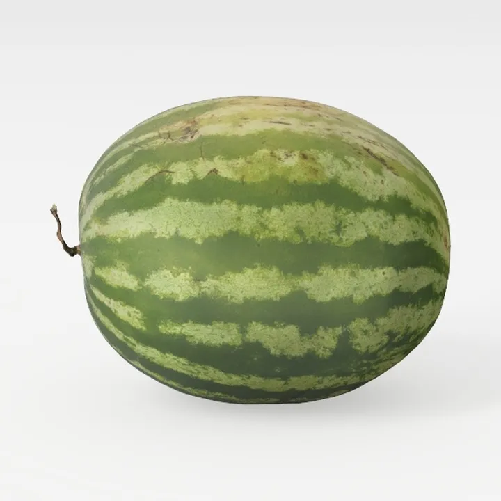 watermelon-Fruit