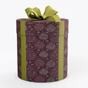 Gift wrapped box Right 45 Degree View