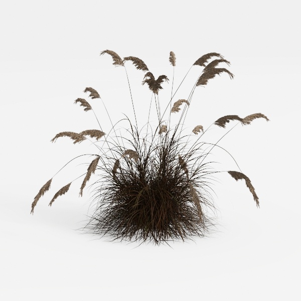 bush-Open-Air Living