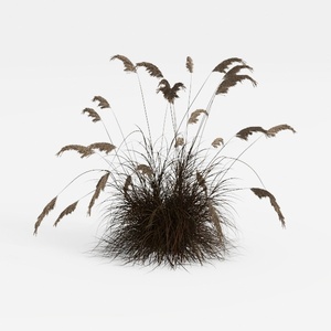 bush-Open-Air Living