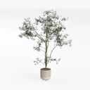 null Left 45 Degree View