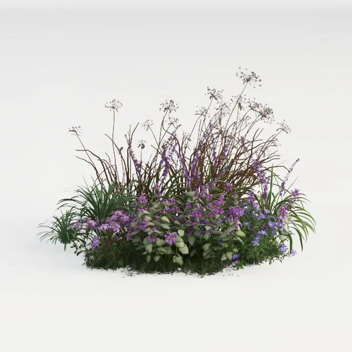 perennial border-Cozy Garden