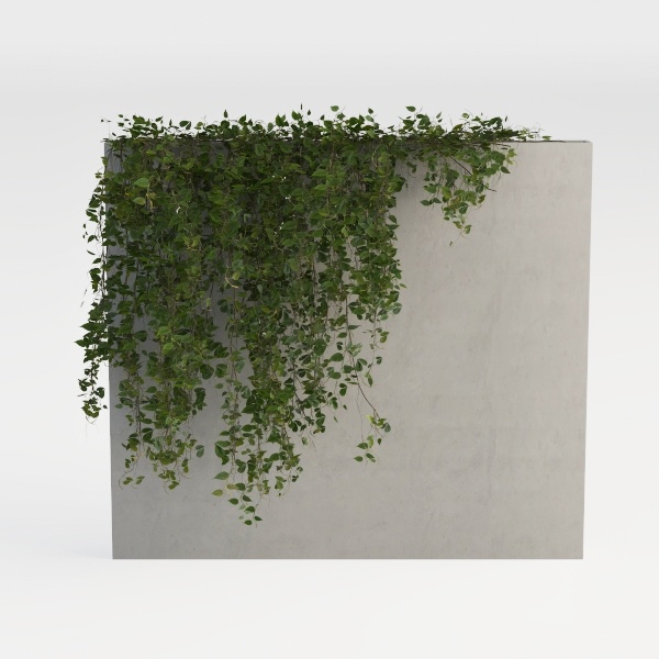 plant wall-Escape to Nature