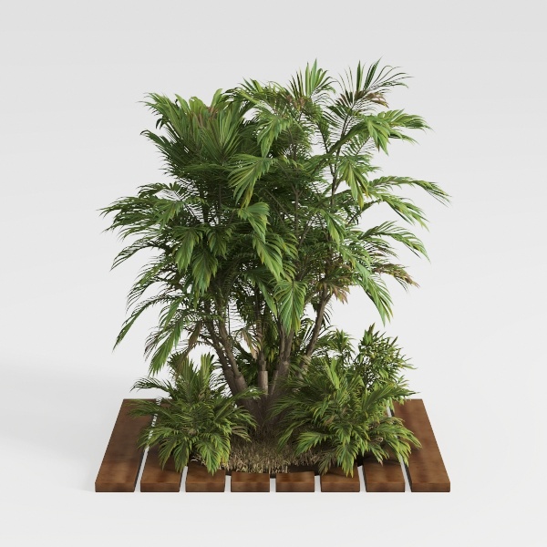 7.2FT Artificial Phoenix Palm Tree with Coconut