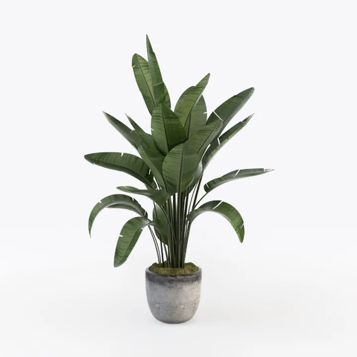 Minimalist Concrete Potted Faux Tropical Palm Plant 3D Model
