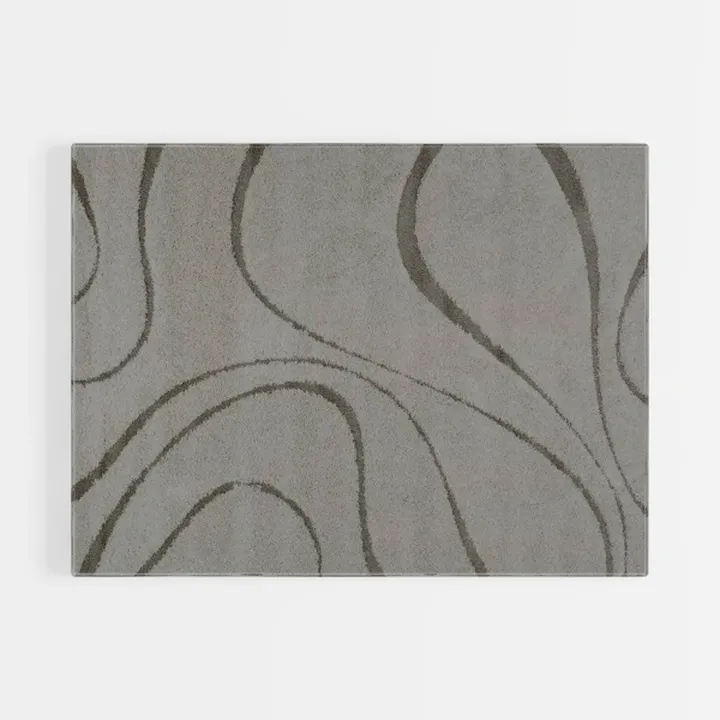 Ompaa Living Room Rug 5x7 Gray Area Rug Machine