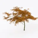 10ft Outdoor Artificial Palm Tree - UV Resistant Right 45 Degree View