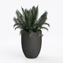Minimalist Black Concrete Rope Handle Potted Plant 3D Model Left 45 Degree View