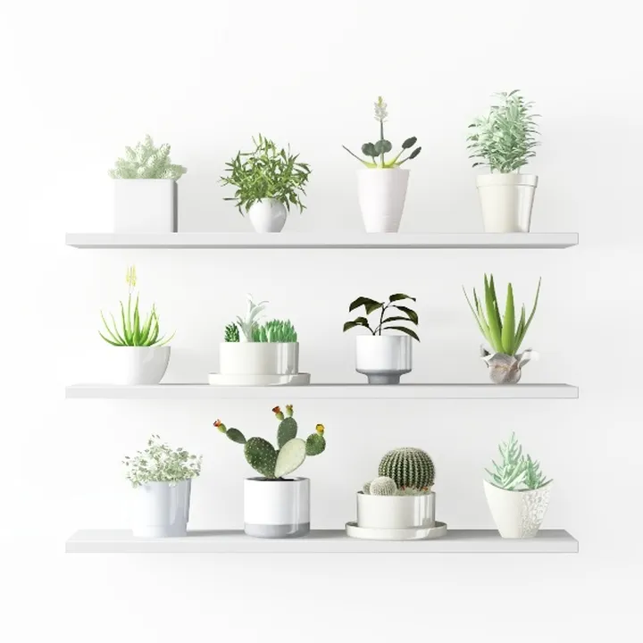 shelf 44