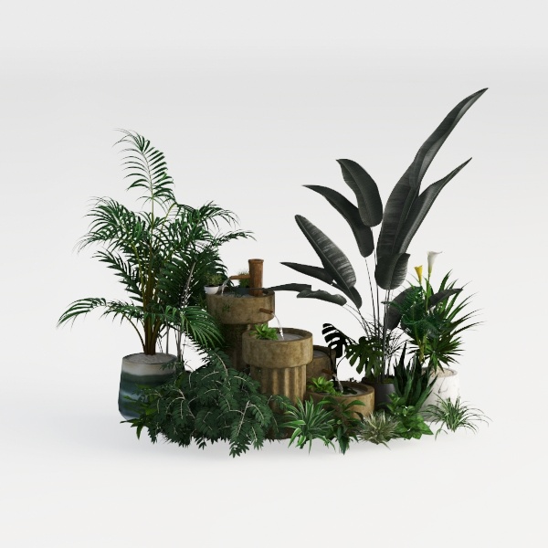 plant-Summer Breeze