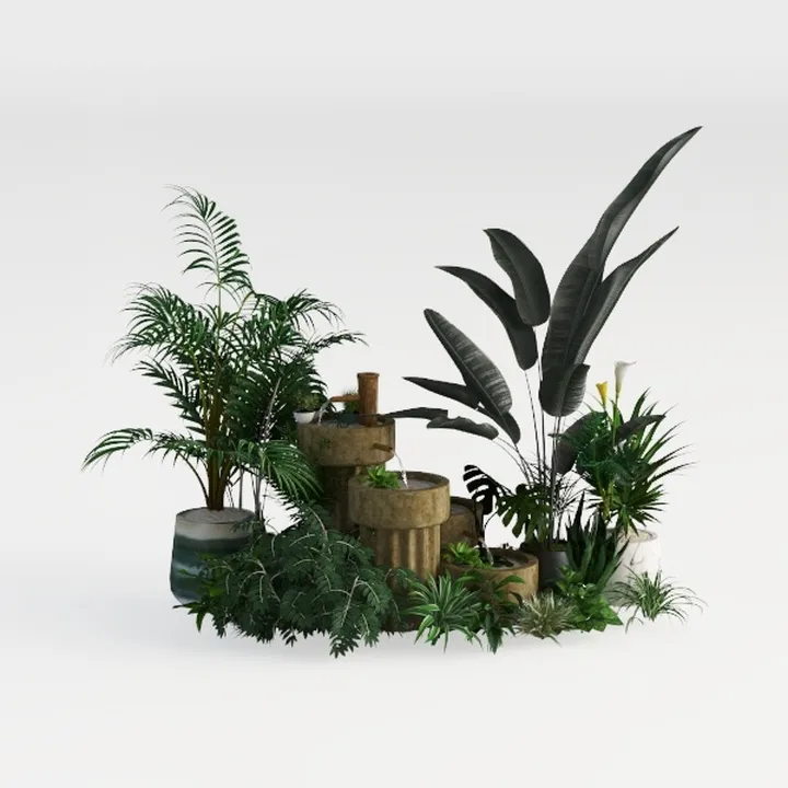 plant-Summer Breeze