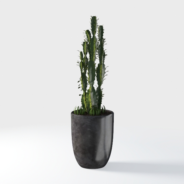 Artificial Palm Tree 5FT - Faux Plant with Black