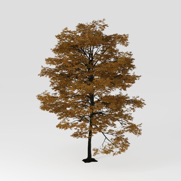 tree-Open-Air Living