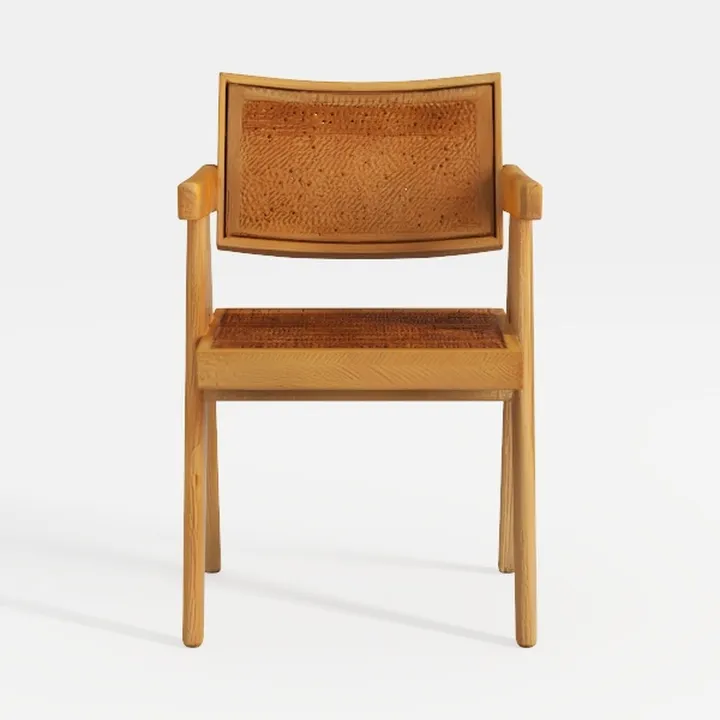Outvita Rattan Accent Chair for Living Room, Comfy