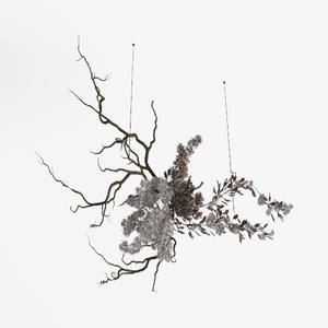 hanging plant-Botanical Home