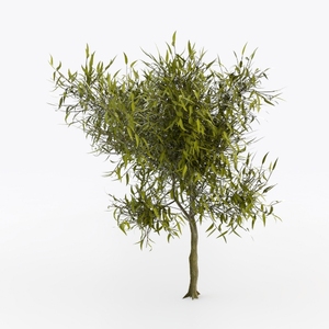 8ft Faux Olive Tree - Large Realistic Artificial