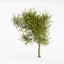8ft Faux Olive Tree - Large Realistic Artificial Left 45 Degree View