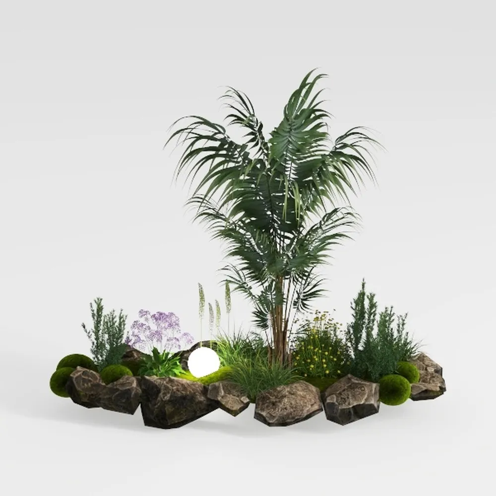 Costa Farms Live Plants (Pack of 6), Easy to Grow