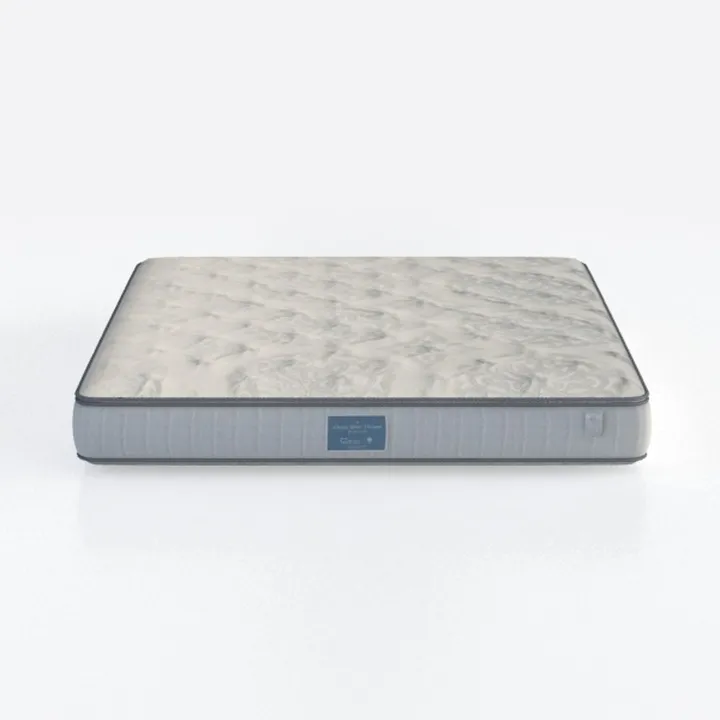 Modern Queen Plush Foam and Steel 10 in. Bed-in-a-