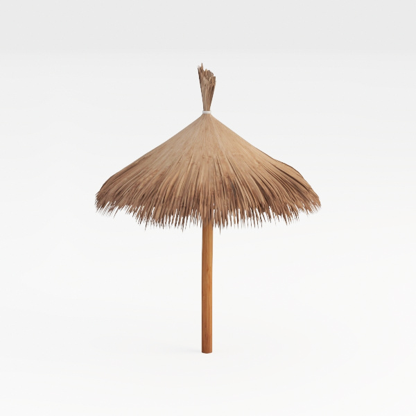 straw parasol-Go Camping