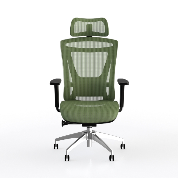 FLEXISPOT Foldex Ergonomic Office Chair, Folding
