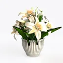 null Left 45 Degree View