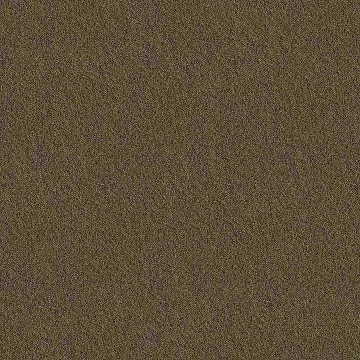 Wall-to-wall Carpet 32