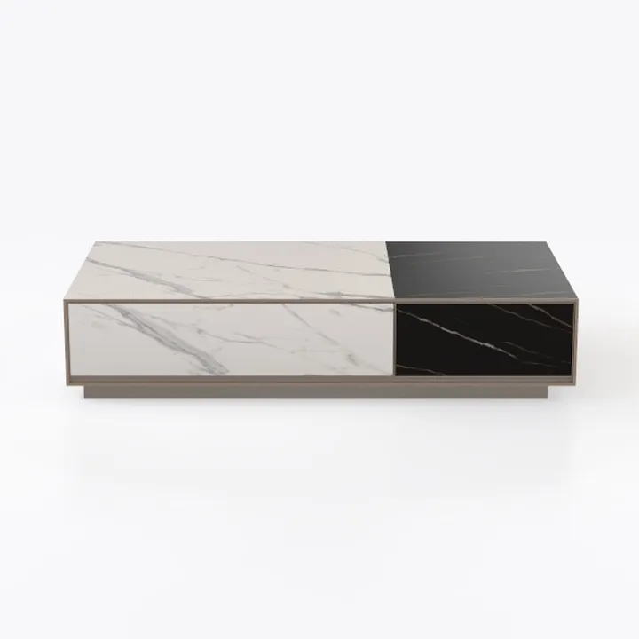 Modern Two Tone Marble Top Storage Coffee Table 3D Model