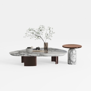 coffee table-Modern Home Interior